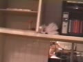アダルト動画:個人撮影 4